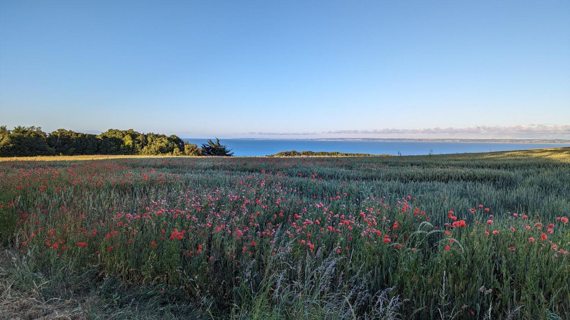 La Guesthouse - A Deux Pas Du Sentier Des Douaniers Pordic ภายนอก รูปภาพ